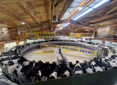 一场静悄然的质量中国质量起头代表世界程度